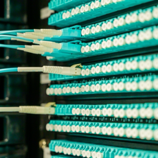Networking cables plugged into a patch panel, showcasing data center connectivity.